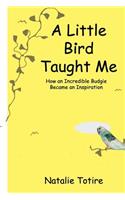 A Little Bird Taught Me (In Color)