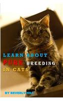 Learn about Pure Breeding in Cats