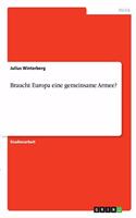 Braucht Europa eine gemeinsame Armee?