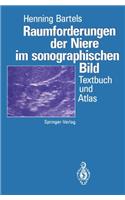 RAUMFORDERUNGEN DER NIERE IM SONOGRAPHI