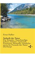 Ästhetik der Natur: Für Künstler, Naturkundige, Lehrer, Gärtner, Land und Forstwirte, Reisende, Geistliche, sowie für Freunde der Natur überhaupt