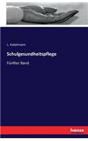 Schulgesundheitspflege: Fünfter Band