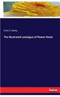 The illustrated catalogue of Flower Roots