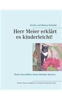 Herr Meier erklärt es kinderleicht! Meine Dosenöffner haben Multiple Sklerose