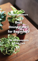 Best Houseplants for Beginners