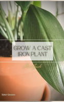 Grow a Cast Iron Plant