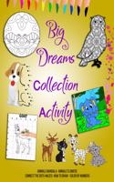Big Dreams Collection Activity