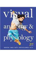 Visual Anatomy & Physiology