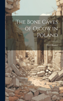 The Bone Caves of Ojcow in Poland