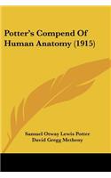 Potter's Compend Of Human Anatomy (1915)