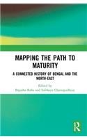 Mapping the Path to Maturity