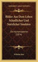 Bilder Aus Dem Leben Schadlicher Und Nutzlicher Insekten