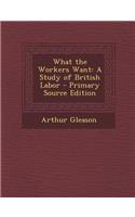 What the Workers Want: A Study of British Labor - Primary Source Edition