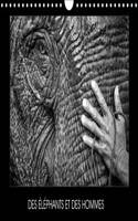 Des Elephants Et Des Hommes 2017