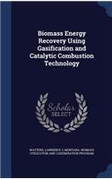 Biomass Energy Recovery Using Gasification and Catalytic Combustion Technology