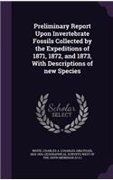 Preliminary Report Upon Invertebrate Fossils Collected by the Expeditions of 1871, 1872, and 1873, with Descriptions of New Species