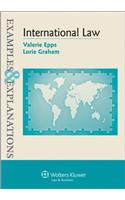 Examples & Explanations for International Law