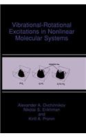 Vibrational-Rotational Excitations in Nonlinear Molecular Systems