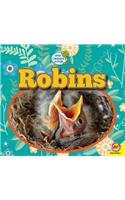 Robins: (Little Backyard Animals)