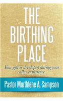 The Birthing Place: Your Gift Is Developed During Your Valley Experience(English)