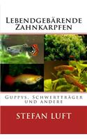 Guppys, Schwerträger und andere Lebendgebärende Zahnkarpfen