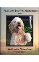 Travels with Brody the Goldendoodle Book 1 Gull Lake Adventures