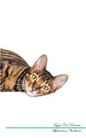 Toyger Cat Affirmations Workbook Toyger Cat Presents