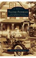 Taconic Pathways
