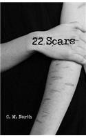 22 Scars