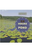 24 Hours in a Pond