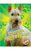 Scottish Terriers