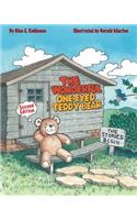 Wonderful One-Eyed Teddy Bear