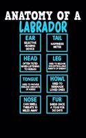 Anatomy of a Labrador