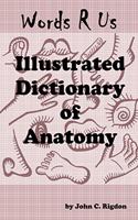 Words R Us Illustrated Dictionary Of Anatomy: Full Color Edition