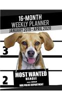 2019-2020 Weekly Planner - Most Wanted Beagle: Daily Diary Monthly Yearly Calendar Large 8.5" x 11" Schedule Journal Organizer Notebook Appointment(21 Dog Planners 2019-2020)