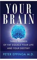 Your Brain