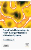 From Pinch Methodology to Pinch-Exergy Integration of Flexible Systems