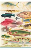 The Great Barrier Reef Journal