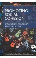 Promoting Social Cohesion: Implications for Policy and Evaluation