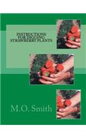 Instructions For Digging Strawberry Plants