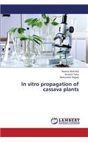 In Vitro Propagation of Cassava Plants