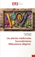 Les plantes médicinales buccodentaires Mileuvienne (Algérie)