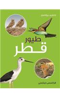 Toyoor Qatar (Birds of Qatar)