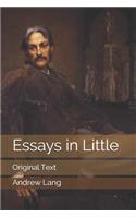 Essays in Little