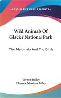 Wild Animals Of Glacier National Park