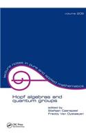 Hopf Algebras and Quantum Groups