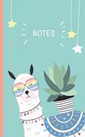 Notes