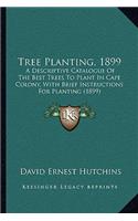 Tree Planting, 1899