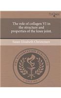 The Role of Collagen VI in the Structure and Properties of the Knee Joint.