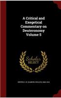 A Critical and Exegetical Commentary on Deuteronomy Volume 5